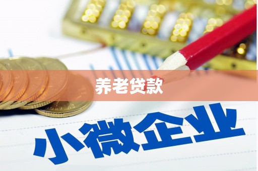 富平养老贷款