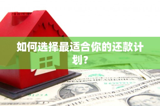 富平如何选择最适合你的还款计划？