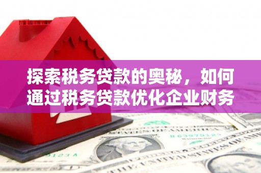 富平探索税务贷款的奥秘，如何通过税务贷款优化企业财务