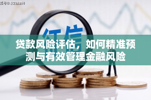 富平贷款风险评估，如何精准预测与有效管理金融风险
