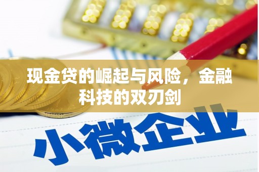 富平现金贷的崛起与风险，金融科技的双刃剑