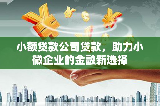 富平小额贷款公司贷款，助力小微企业的金融新选择