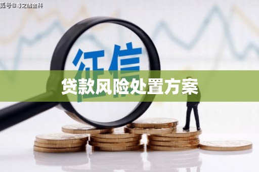 富平贷款风险处置方案