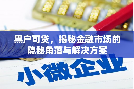 富平黑户可贷，揭秘金融市场的隐秘角落与解决方案