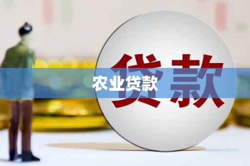 富平农业贷款