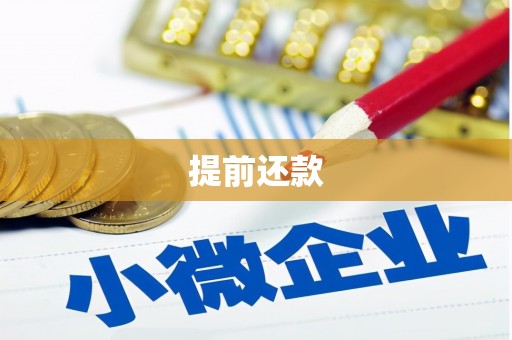 富平提前还款