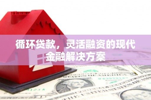 富平循环贷款，灵活融资的现代金融解决方案