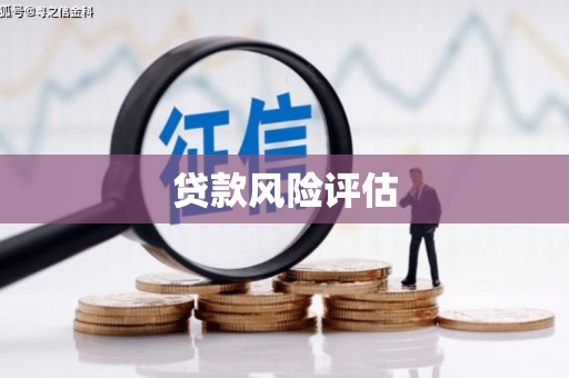 富平贷款风险评估