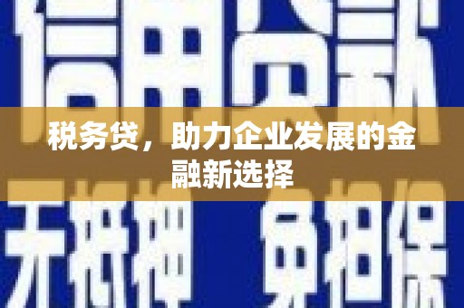 富平税务贷，助力企业发展的金融新选择