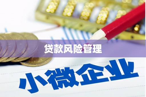 富平贷款风险管理