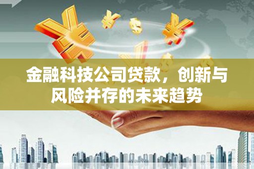 富平金融科技公司贷款，创新与风险并存的未来趋势