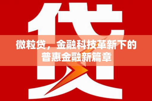 富平微粒贷，金融科技革新下的普惠金融新篇章