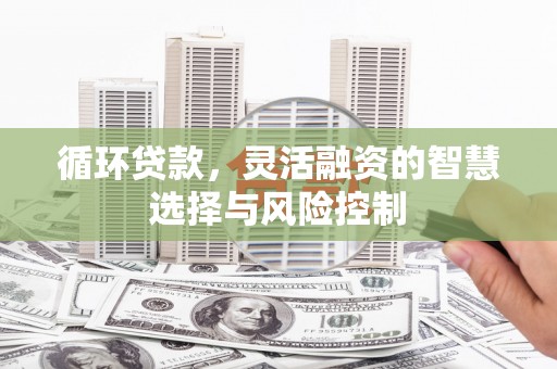 富平循环贷款，灵活融资的智慧选择与风险控制