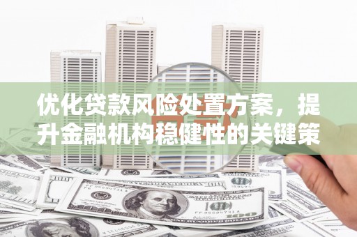 富平优化贷款风险处置方案，提升金融机构稳健性的关键策略