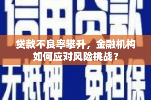 富平贷款不良率攀升，金融机构如何应对风险挑战？