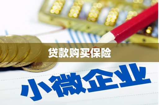 富平贷款购买保险
