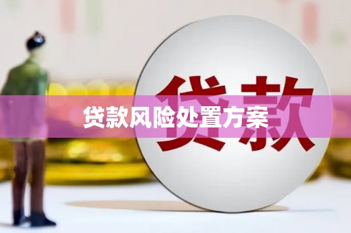富平贷款风险处置方案