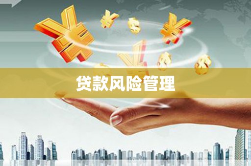 富平贷款风险管理