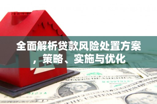 富平全面解析贷款风险处置方案，策略、实施与优化