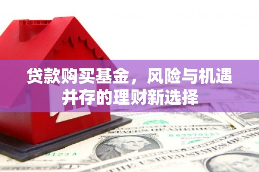 富平贷款购买基金，风险与机遇并存的理财新选择