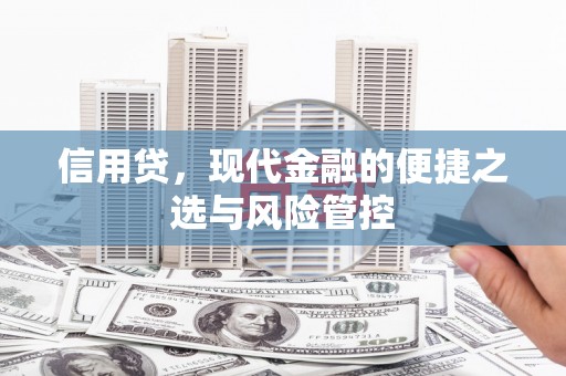 富平信用贷，现代金融的便捷之选与风险管控