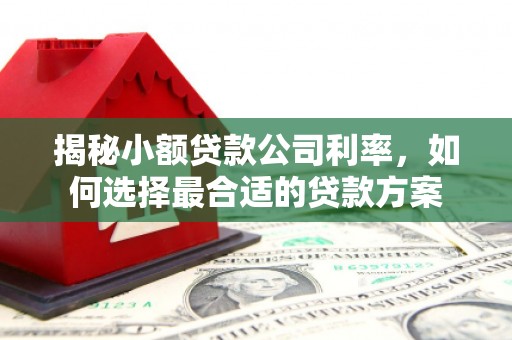 富平揭秘小额贷款公司利率，如何选择最合适的贷款方案