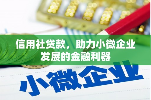 富平信用社贷款，助力小微企业发展的金融利器