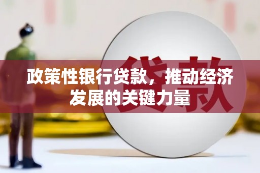 富平政策性银行贷款，推动经济发展的关键力量