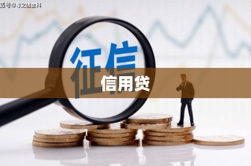 富平信用贷