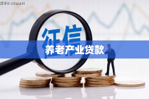富平养老产业贷款