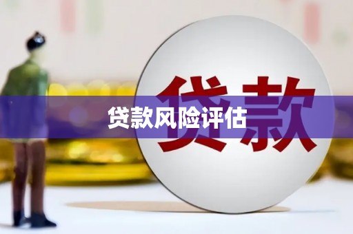 富平贷款风险评估