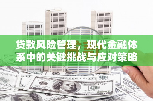 富平贷款风险管理，现代金融体系中的关键挑战与应对策略