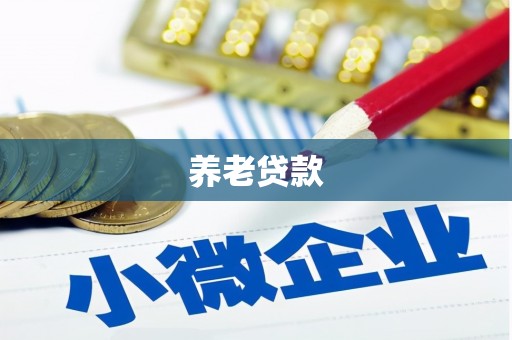 富平养老贷款