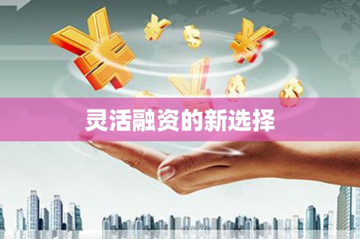 富平灵活融资的新选择