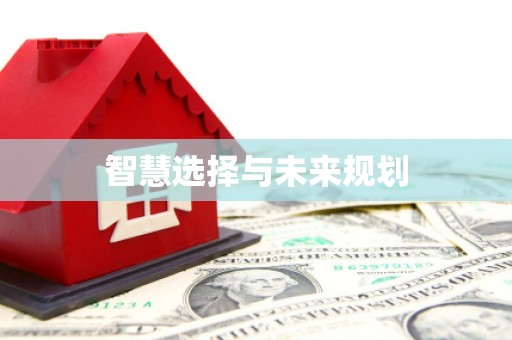 富平智慧选择与未来规划