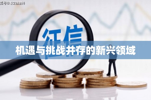富平机遇与挑战并存的新兴领域