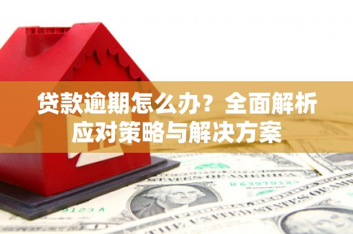 富平贷款逾期怎么办？全面解析应对策略与解决方案