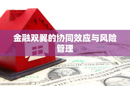 富平金融双翼的协同效应与风险管理